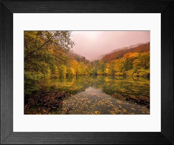 Framed Print : Beautiful, colorful autumn lake. Amazing water reflection, peaceful nature scenery. Yellow orange leaves, misty morning light. Relax autumnal fall Framed Print : Beautiful, colorful autumn lake. Amazing water reflection, peaceful nature scenery. Yellow orange leaves, misty morning light. Relax autumnal fall