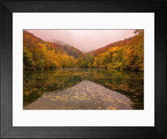 Framed Print : Beautiful, colorful autumn lake. Amazing water reflection, peaceful nature scenery. Yellow orange leaves, misty morning light. Relax autumnal fall Framed Print : Beautiful, colorful autumn lake. Amazing water reflection, peaceful nature scenery. Yellow orange leaves, misty morning light. Relax autumnal fall