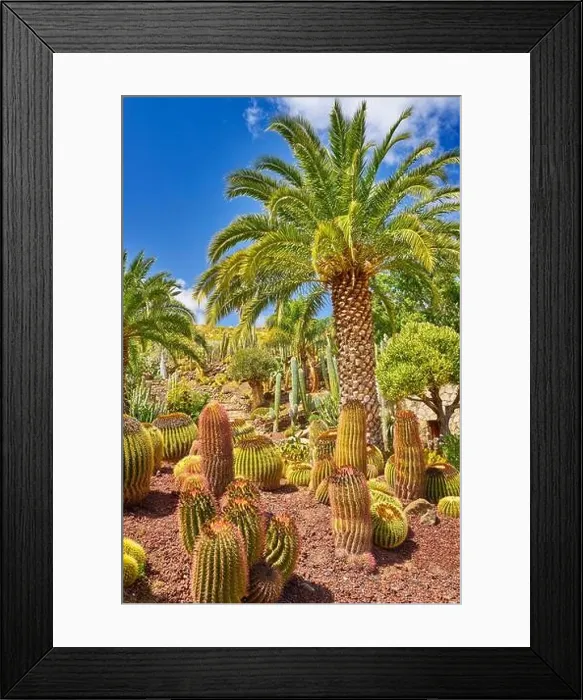 Framed Print : Canarian landscape, Gran Canaria, Canary Islands, Spain Framed Print : Canarian landscape, Gran Canaria, Canary Islands, Spain