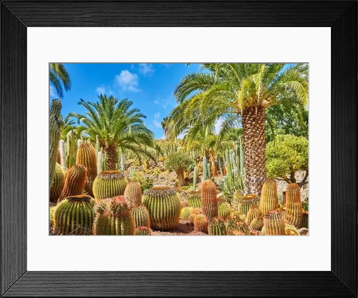 Framed Print : Canarian landscape, Gran Canaria, Canary Islands, Spain Framed Print : Canarian landscape, Gran Canaria, Canary Islands, Spain