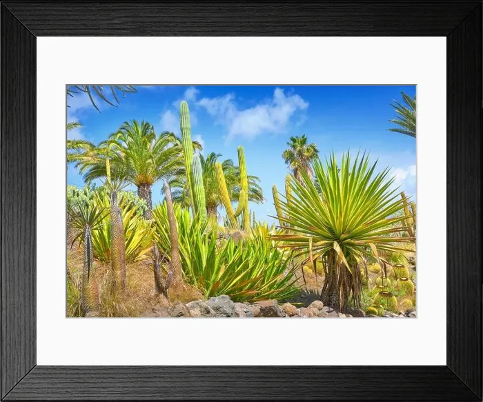 Framed Print : Canarian landscape, Gran Canaria, Canary Islands, Spain Framed Print : Canarian landscape, Gran Canaria, Canary Islands, Spain
