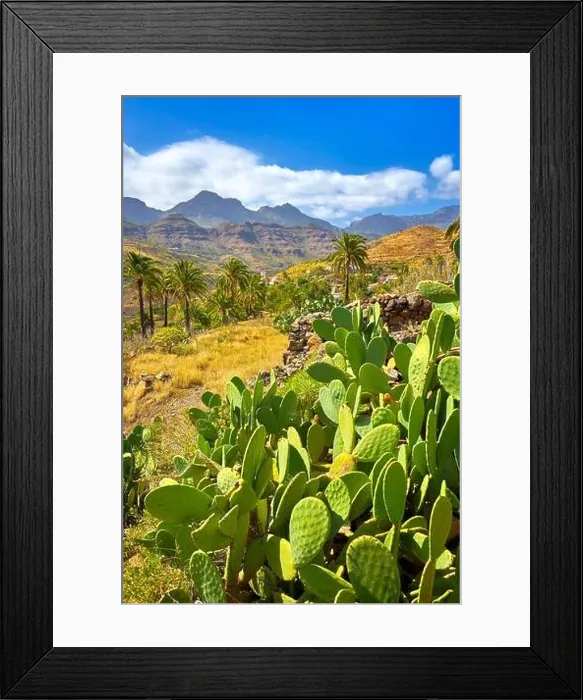 Framed Print : Canarian landscape, Gran Canaria, Canary Islands, Spain Framed Print : Canarian landscape, Gran Canaria, Canary Islands, Spain