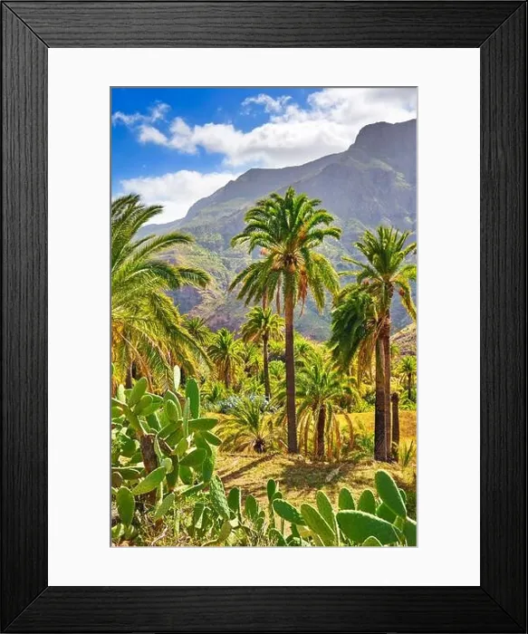 Framed Print : Canarian landscape, Gran Canaria, Canary Islands, Spain Framed Print : Canarian landscape, Gran Canaria, Canary Islands, Spain