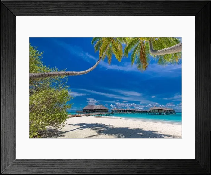 Framed Print : Maldives island beach. Tropical landscape of summer scenery, white sand with palm trees. Luxury travel vacation destination. Exotic beach landscape Framed Print : Maldives island beach. Tropical landscape of summer scenery, white sand with palm trees. Luxury travel vacation destination. Exotic beach landscape
