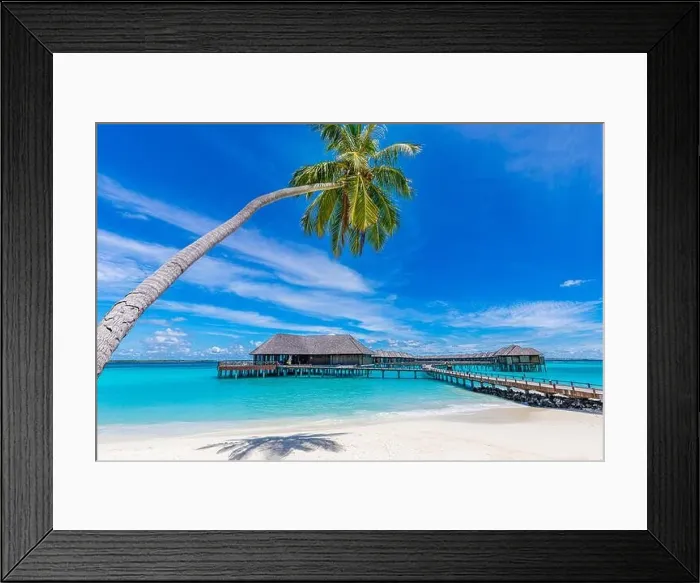 Framed Print : Maldives island beach. Tropical landscape of summer scenery, white sand with palm trees. Luxury travel vacation destination. Amazing beach landscape Framed Print : Maldives island beach. Tropical landscape of summer scenery, white sand with palm trees. Luxury travel vacation destination. Amazing beach landscape