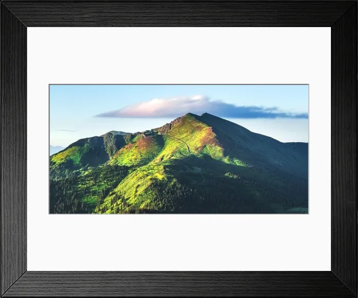 Framed Print : Picturesque summer landscape in Carpathian mountains. Green hills, forest and meadows, covered pink rhododendron flowers in fantastic morning sunlight Framed Print : Picturesque summer landscape in Carpathian mountains. Green hills, forest and meadows, covered pink rhododendron flowers in fantastic morning sunlight