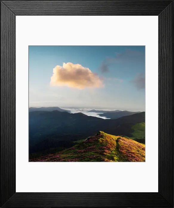 Framed Print : Rhododendron flowers covered mountains meadow in summer time. Orange sunrise light glowing on a foreground. Landscape photography Framed Print : Rhododendron flowers covered mountains meadow in summer time. Orange sunrise light glowing on a foreground. Landscape photography