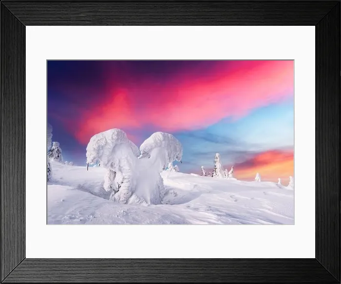 Framed Print : Fantastic winter landscape with snowy trees and sunrise pink sky. Lapland, Finland, Europe. Christmas holiday concept Framed Print : Fantastic winter landscape with snowy trees and sunrise pink sky. Lapland, Finland, Europe. Christmas holiday concept