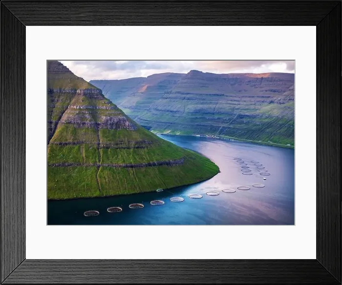 Framed Print : Dramatic morning view on fish farm on Kalsoy island near Klaksvik city, view from Klakkur peak. Faroe Islands, Denmark. Landscape photography Framed Print : Dramatic morning view on fish farm on Kalsoy island near Klaksvik city, view from Klakkur peak. Faroe Islands, Denmark. Landscape photography