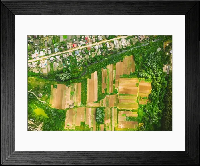 Framed Print : Aerial View Of Vegetable Gardens In Small Town Or Village. Skyline In Summer Evening. Village Garden Beds In Bird's-eye View Framed Print : Aerial View Of Vegetable Gardens In Small Town Or Village. Skyline In Summer Evening. Village Garden Beds In Bird's-eye View