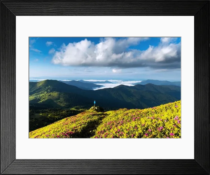 Framed Print : A tourist on the edge of a cliff covered with a pink carpet of rhododendron flowers in the summer. Foggy mountains on the background. Landscape photog Framed Print : A tourist on the edge of a cliff covered with a pink carpet of rhododendron flowers in the summer. Foggy mountains on the background. Landscape photog