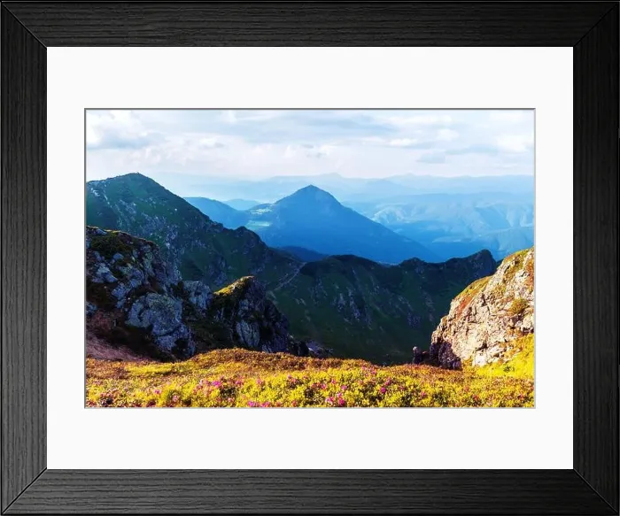 Framed Print : Rhododendron flowers covered mountains meadow in summer time. Orange sunrise light glowing on a foreground. Landscape photography Framed Print : Rhododendron flowers covered mountains meadow in summer time. Orange sunrise light glowing on a foreground. Landscape photography