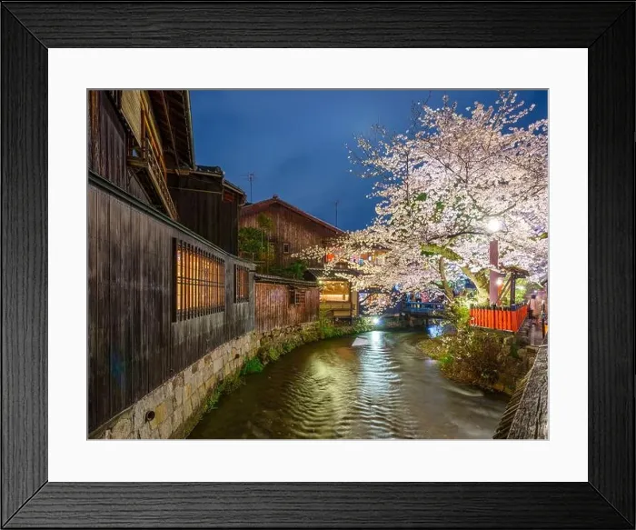 Framed Print : Kyoto, Japan at the Shirakawa River during the spring cherry blosson season at night Framed Print : Kyoto, Japan at the Shirakawa River during the spring cherry blosson season at night
