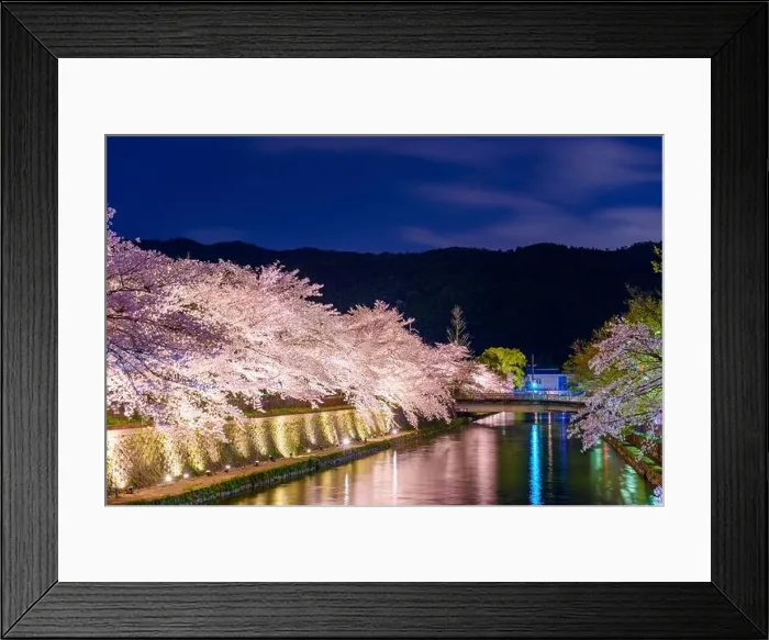 Framed Print : Kyoto, Japan on the Okazaki Canal during the spring cherry blossom season at night Framed Print : Kyoto, Japan on the Okazaki Canal during the spring cherry blossom season at night