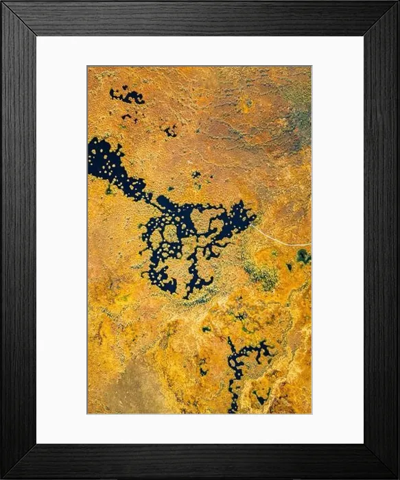 Framed Print : Miory District, Vitebsk Region, Belarus. The Yelnya Swamp. Upland And Transitional Bogs With Numerous Lakes. Elevated Aerial View Of Yelnya Nature Framed Print : Miory District, Vitebsk Region, Belarus. The Yelnya Swamp. Upland And Transitional Bogs With Numerous Lakes. Elevated Aerial View Of Yelnya Nature