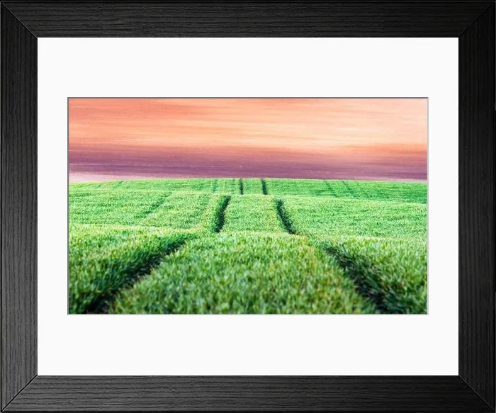 Framed Print : Road in green wheat agricultural field Framed Print : Road in green wheat agricultural field