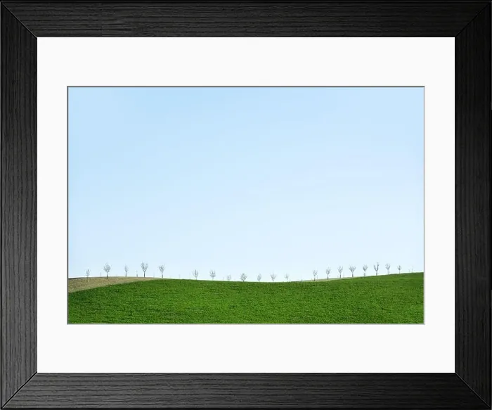 Framed Print : Rural minimal spring landscape with green hill and young trees Framed Print : Rural minimal spring landscape with green hill and young trees