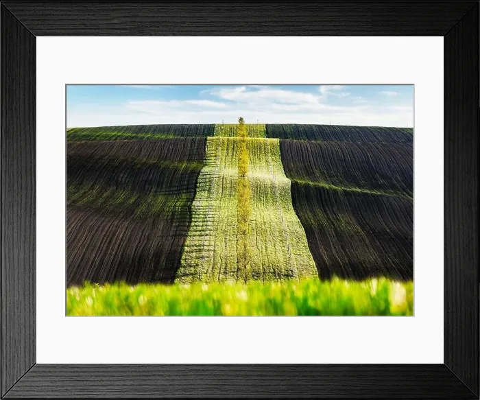 Framed Print : Green and brown waves of the agricultural fields Framed Print : Green and brown waves of the agricultural fields