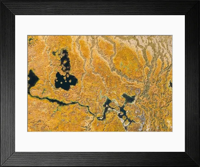 Framed Print : Miory District, Vitebsk Region, Belarus. The Yelnya Swamp. Upland And Transitional Bogs With Numerous Lakes. Elevated Aerial View Of Yelnya Nature Framed Print : Miory District, Vitebsk Region, Belarus. The Yelnya Swamp. Upland And Transitional Bogs With Numerous Lakes. Elevated Aerial View Of Yelnya Nature