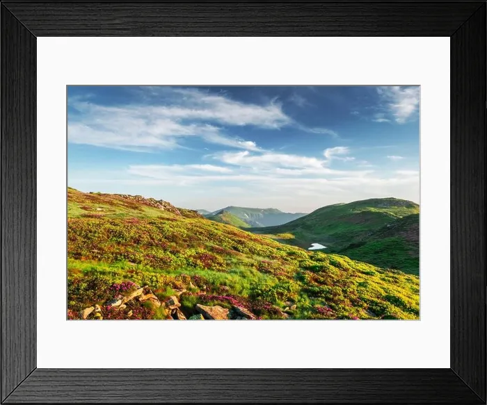 Framed Print : Small heart-shaped mountain lake on green slopes covered with pink blooming rhododendron flowers. Fluffy cloud in the blue sky Framed Print : Small heart-shaped mountain lake on green slopes covered with pink blooming rhododendron flowers. Fluffy cloud in the blue sky