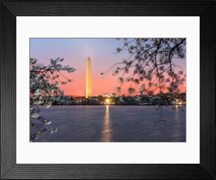Framed Print : Washington DC; USA at the tidal basin with Washington Monument in spring season Framed Print : Washington DC; USA at the tidal basin with Washington Monument in spring season