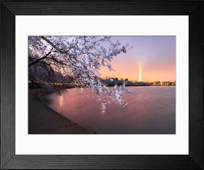 Framed Print : Washington DC; USA at the tidal basin with Washington Monument in spring season Framed Print : Washington DC; USA at the tidal basin with Washington Monument in spring season