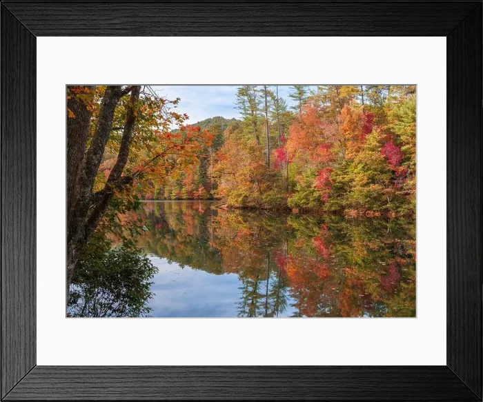 Framed Print : Lakeside fall foliage at Santeetlah Lake, North Carolina, USA Framed Print : Lakeside fall foliage at Santeetlah Lake, North Carolina, USA
