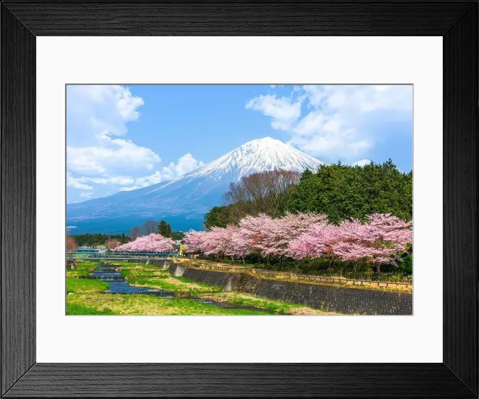 Framed Print : Mt. Fuji viewed from rural Shizuoka Prefecture in spring season Framed Print : Mt. Fuji viewed from rural Shizuoka Prefecture in spring season