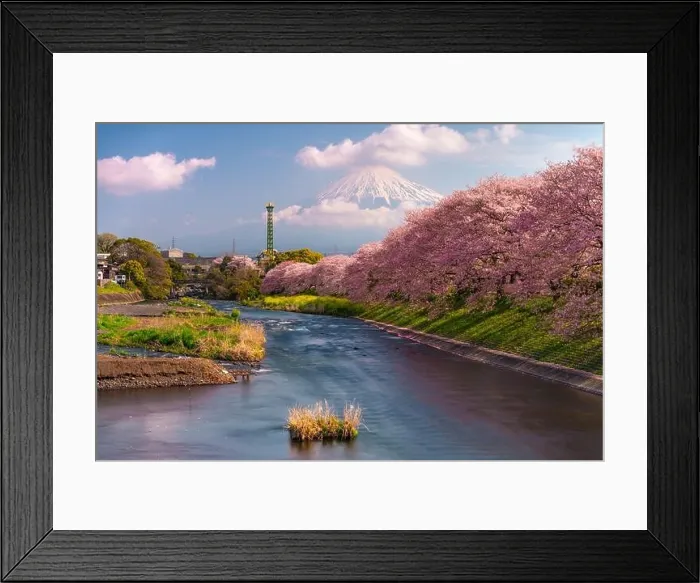 Framed Print : Mt. Fuji, Japan spring landscape and river Framed Print : Mt. Fuji, Japan spring landscape and river