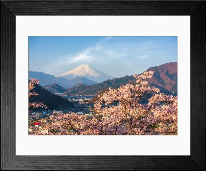 Framed Print : Otsuki, Japan cityscape with Mt. Fuji in spring season with cherry blossoms Framed Print : Otsuki, Japan cityscape with Mt. Fuji in spring season with cherry blossoms