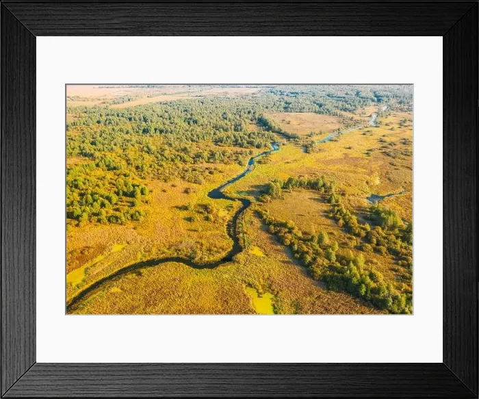 Framed Print : Aerial View Green Forest Woods And River Landscape In Sunny Summer Day. Top View Of Beautiful European Nature From High Attitude In Summer Season