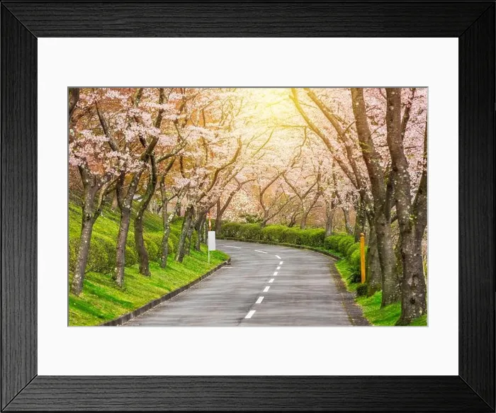 Framed Print : Fuji Reien Cemetery, Shizuoka, Japan in spring Framed Print : Fuji Reien Cemetery, Shizuoka, Japan in spring