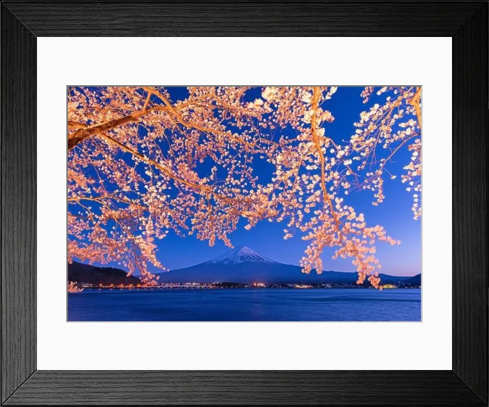 Framed Print : Kawaguchi Lake, Japan at Mt. Fuji in the evening during the spring Framed Print : Kawaguchi Lake, Japan at Mt. Fuji in the evening during the spring
