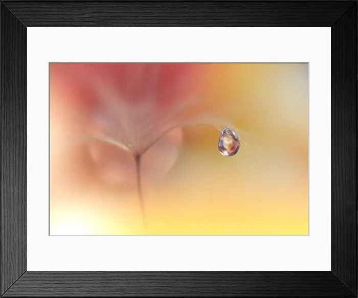 Framed Print : Beautiful Nature Background.Floral Art Design.Abstract Macro Photography.Dandelion Flowers.Yellow Background.Creative Artistic Wallpaper.Celebration Framed Print : Beautiful Nature Background.Floral Art Design.Abstract Macro Photography.Dandelion Flowers.Yellow Background.Creative Artistic Wallpaper.Celebration