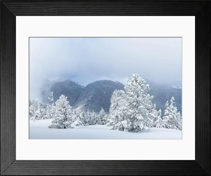 Framed Print : Fantastic winter landscape with snowy trees and snowy peaks. Carpathian mountains, Ukraine. Christmas holiday background. Landscape photography Framed Print : Fantastic winter landscape with snowy trees and snowy peaks. Carpathian mountains, Ukraine. Christmas holiday background. Landscape photography