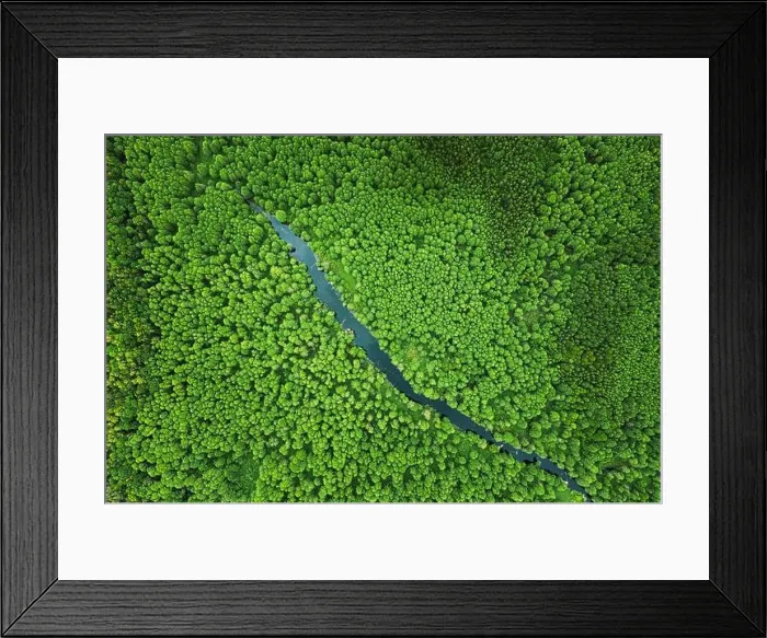 Framed Print : Elevated View Of Green Small Bog Marsh Swamp River Wetland And Green Forest Landscape In Summer Day. Attitude View. Forest In Bird's Eye View Framed Print : Elevated View Of Green Small Bog Marsh Swamp River Wetland And Green Forest Landscape In Summer Day. Attitude View. Forest In Bird's Eye View