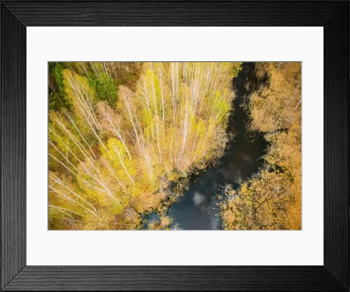 Framed Print : Spring Season. Aerial View. Young Birches Grow Among Small Marsh Bog Swamp. Deciduous Trees With Young Foliage Leaves In Landscape In Early Spring Framed Print : Spring Season. Aerial View. Young Birches Grow Among Small Marsh Bog Swamp. Deciduous Trees With Young Foliage Leaves In Landscape In Early Spring