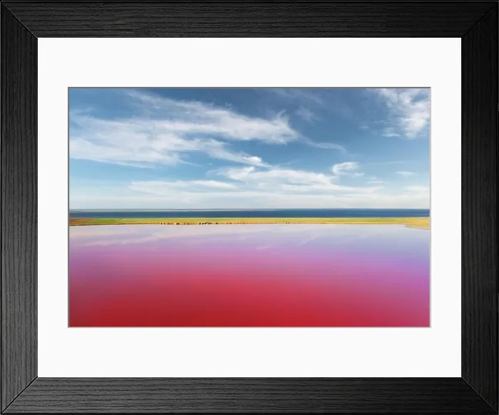 Framed Print : Pink lake water under blue sky with fluffy clouds in summer day. Creative color concept
