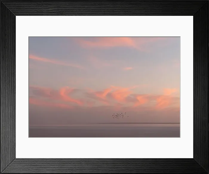 Framed Print : Sunset on the sea with red glowing cloudy sky and flock of birds. Ocean sunrise background. Landscape photography Framed Print : Sunset on the sea with red glowing cloudy sky and flock of birds. Ocean sunrise background. Landscape photography