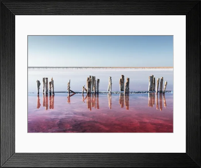 Framed Print : Pink salt lake water with wooden posts under clear blue sky in summer day. Creative color concept Framed Print : Pink salt lake water with wooden posts under clear blue sky in summer day. Creative color concept