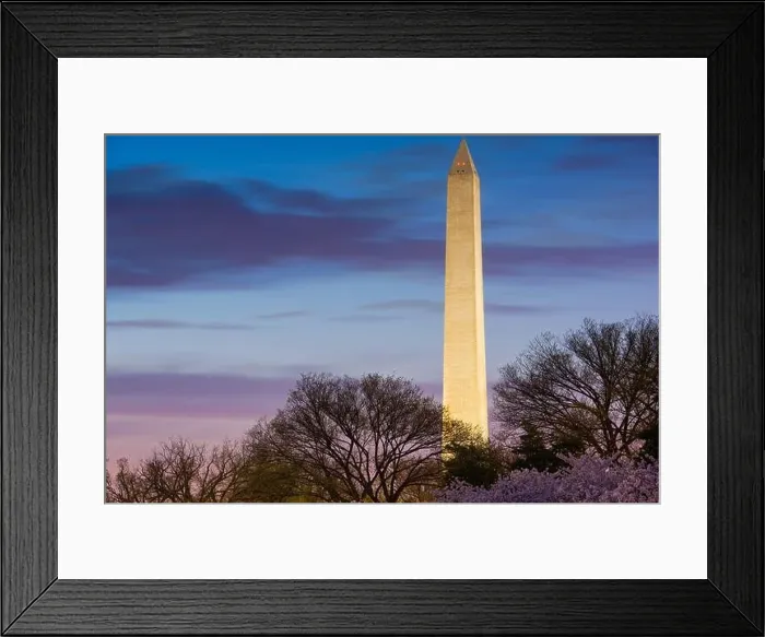 Framed Print : Washington DC, USA in spring season on the National Mall Framed Print : Washington DC, USA in spring season on the National Mall