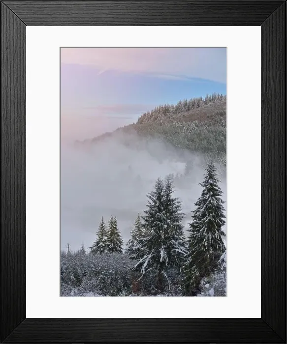 Framed Print : Fir trees full of snow on cold winter in mountain landscape Framed Print : Fir trees full of snow on cold winter in mountain landscape