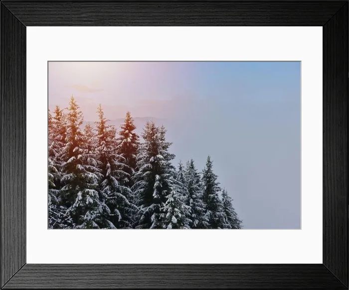 Framed Print : Fir trees full of snow on cold winter in mountain landscape Framed Print : Fir trees full of snow on cold winter in mountain landscape
