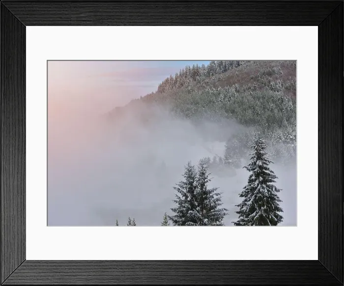Framed Print : Fir trees full of snow on cold winter in mountain landscape Framed Print : Fir trees full of snow on cold winter in mountain landscape