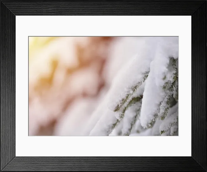 Framed Print : Fir trees full of snow on cold winter in mountain landscape Framed Print : Fir trees full of snow on cold winter in mountain landscape