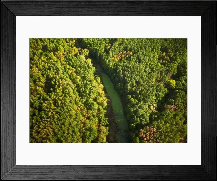 Framed Print : Aerial View Green Forest Woods And River Marsh Bog In Summer Landscape. Top View Of Beautiful European Nature From High Attitude In Summer Season. Dro Framed Print : Aerial View Green Forest Woods And River Marsh Bog In Summer Landscape. Top View Of Beautiful European Nature From High Attitude In Summer Season. Dro