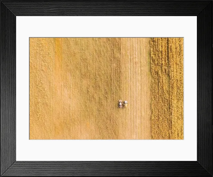 Framed Print : Aerial View Of Rural Landscape. Combine Harvester And Truck Working Together In Field, Collects Seeds. Harvesting Of Wheat In Autumn. Agricultural Mac Framed Print : Aerial View Of Rural Landscape. Combine Harvester And Truck Working Together In Field, Collects Seeds. Harvesting Of Wheat In Autumn. Agricultural Mac