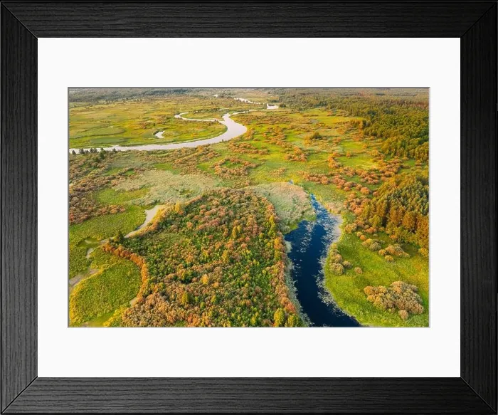 Framed Print : Aerial View Green Pine Forest And River Landscape In Sunny Summer Evening. Top View Of Beautiful European Nature From High Attitude In Summer Season Framed Print : Aerial View Green Pine Forest And River Landscape In Sunny Summer Evening. Top View Of Beautiful European Nature From High Attitude In Summer Season