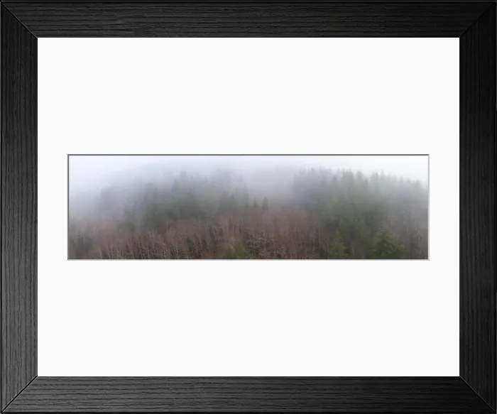 Framed Print : Winter fog seeps through a forest in Oregon. This beautiful state on the west coast is known for its landscape of forests, mountains, and farms Framed Print : Winter fog seeps through a forest in Oregon. This beautiful state on the west coast is known for its landscape of forests, mountains, and farms