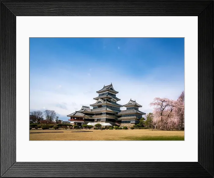 Framed Print : Matsumoto Castle during cherry blossom (Sakura) is one of the most famous sights in Matsumoto, Nagano, Japan. Japan tourism, history building, or trad Framed Print : Matsumoto Castle during cherry blossom (Sakura) is one of the most famous sights in Matsumoto, Nagano, Japan. Japan tourism, history building, or trad